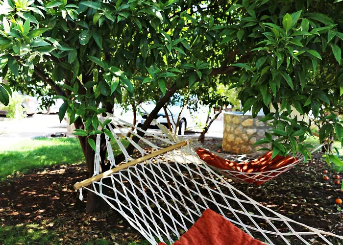 Ferah *